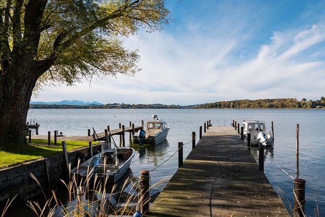 不仅可以提 不仅可以提