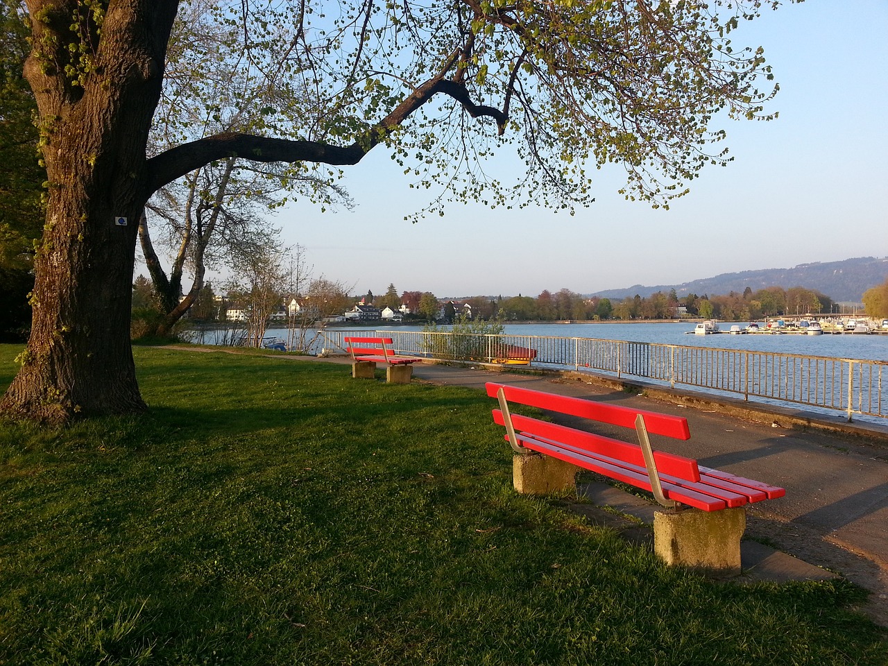 唐斯的带领 唐斯的带领