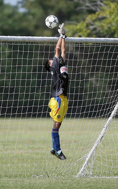 仅仅是为了 仅仅是为了