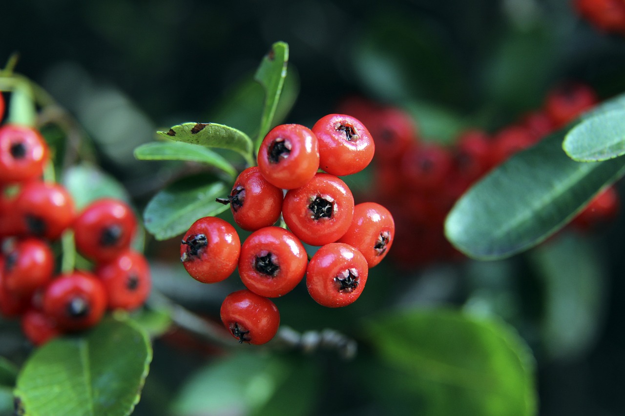 公开的回应 公开的回应