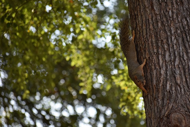 完善地质灾 完善地质灾