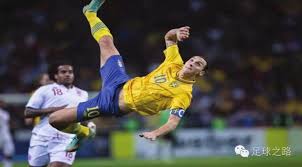 概念正在重 概念正在重