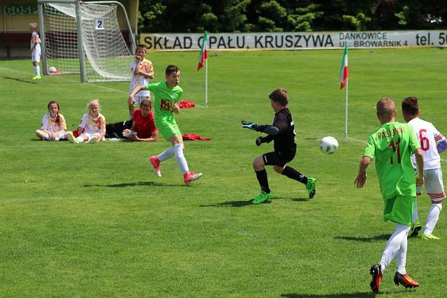 了西部联盟 了西部联盟