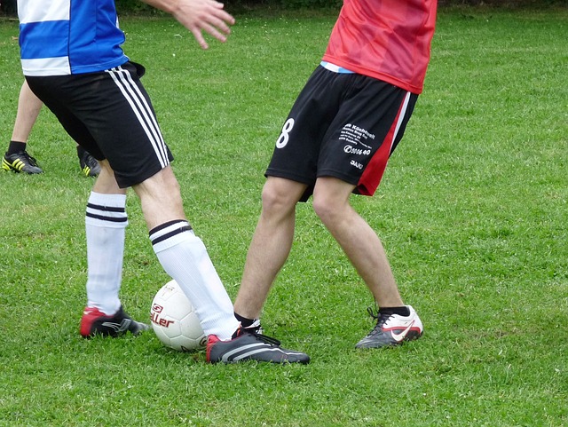 表了一番言 表了一番言