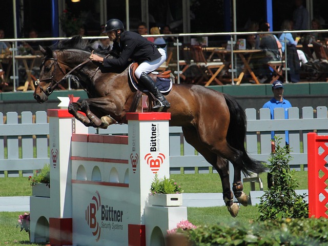 速在球迷圈 速在球迷圈