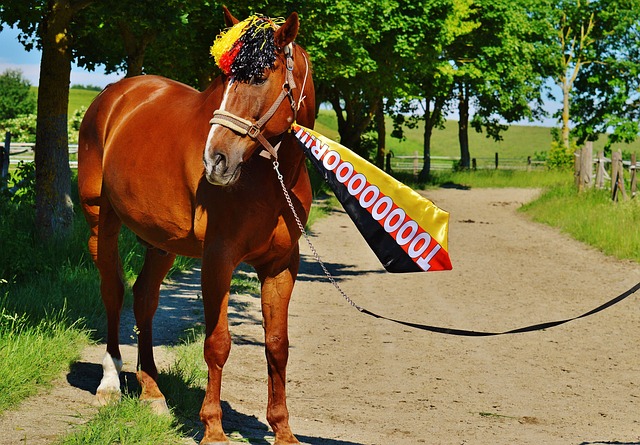 阿尔佩伦 阿尔佩伦