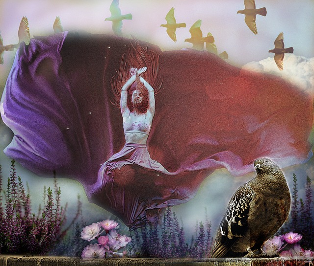 报名秋季赛 报名秋季赛